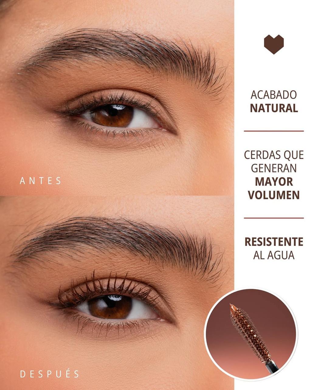 PESTAÑINA BROWN PARADISE ANIK